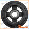 Poulie damper vilebrequin pour NISSAN | RKP-NS-009, NDS-VQ20